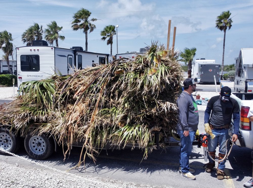 The G-Uprooted Tree Services crew hauling off a trailer loaded with palm and tree debris at a Rio Grande Valley RV park