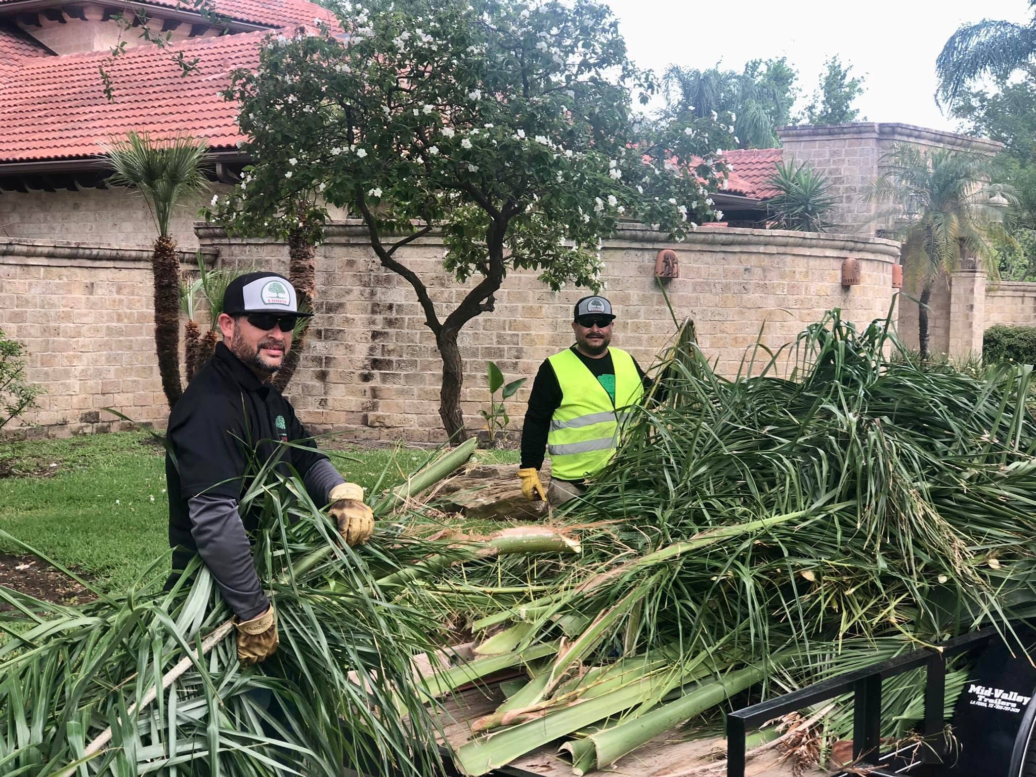 The G-Uprooted Tree Services crew clearing trimmed palm fronds at a tile-roofed property in the Rio Grande Valley