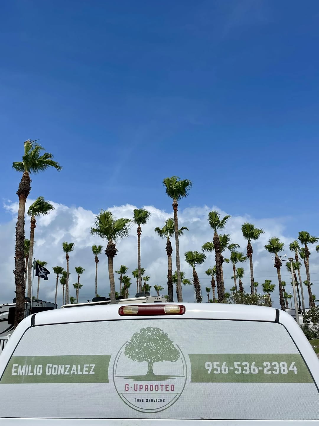 The G-Uprooted Tree Services truck of owner Emilio Gonzalez parked among palm trees at a Rio Grande Valley RV park, ready for tree and palm trimming and removal